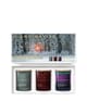 Produktbillede 1 af 4, SKANDINAVISK Winter Solstice Stearinlyssæt