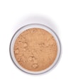 Zdjęcie produktu 2 z 3, INGLOT Perfect Finish Puder sypki
