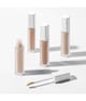 Produktbild 5 von 5, Paese Cosmetics My Skin Icon Concealer