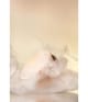 Produktbillede 5 af 6, Paese Cosmetics Puff Cloud Kompaktpudder