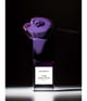 Produktbild 4 von 6, BOHOBOCO PLUM SPRAY PAINT Parfum