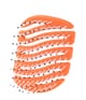 Image du produit 3 sur 5, Sister Young MILA Brosse Tangle