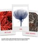 Smashbox Photo Finish Primer 10 ml 607710099029 visual2-shot_de