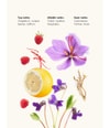 Productafbeelding 3 van 4, WIDIAN Melogold Parfum
