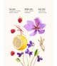 Productafbeelding 3 van 4, WIDIAN Melogold Parfum