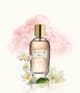 Produktbillede 3 af 3, WIDIAN Rose Arabia Collection Eau de Parfum