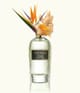WIDIAN Rose Arabia Collection Eau de Parfum 100 ml 6291104736849 detail-shot_se