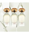 Produktbild 3 von 3, WIDIAN All Over Parfum