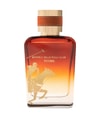 Produktbild 1 von 2, Beverly Hills Polo Club TITAN Eau de Parfum
