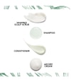 Image du produit 3 sur 6, Bumble and bumble Seaweed Soin du cuir chevelu