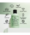 Produktbild 6 von 6, Bumble and bumble Seaweed Haarshampoo
