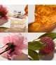Chloé Chloé Woda perfumowana 30 ml 688575201901 visual2-shot_pl