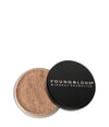 Produktbild 1 av 2, YOUNGBLOOD Loose Mineral Löspuder