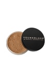 Produktbild 1 av 2, YOUNGBLOOD Loose Mineral Löspuder