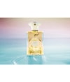 Produktbild 3 von 3, Amouage Main Line Eau de Parfum