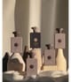 Amouage Library Eau de Parfum 100 ml 701666410577 visual2-shot_de