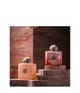Produktbild 5 von 6, Amouage Extrait Collection Parfum
