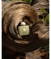 Produktbild 3 von 3, Amouage Odyssey Eau de Parfum