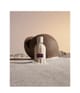Produktbild 3 von 3, Amouage Essences Collection Parfum