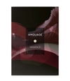 Produktbild 2 von 3, Amouage Essences Collection Parfum