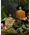 Produktbild 3 von 5, John Varvatos Artisan Forest Eau de Parfum