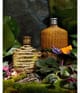 Produktbild 3 von 5, John Varvatos Artisan Forest Eau de Parfum