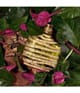 Produktbild 4 von 5, John Varvatos Artisan Forest Eau de Parfum