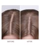 Productafbeelding 4 van 6, Moroccanoil Dry-No-More Scalp Treatment Hoofdhuidverzorging