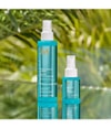 Produktbild 5 von 5, Moroccanoil Frizz Shield Spray Haarspray