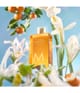 Produktbillede 2 af 5, Moroccanoil Soleil de Tanger Showergel