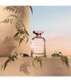 Zdjęcie produktu 2 z 5, Moroccanoil Lumière du Jour Woda perfumowana