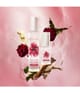 Produktbild 2 von 3, Moroccanoil Brumes du Maroc Haarparfum