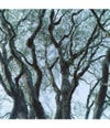 Produktbild 3 von 3, BYREDO Tree House Duftkerze