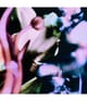 Produktbild 2 von 2, BYREDO Fleur Fantome Duftkerze
