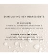 Produktbild 5 von 6, IDUN Minerals Face Fixing Spray