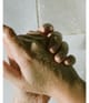 Productafbeelding 5 van 6, L:A Bruket Restorative Algae Handscrub