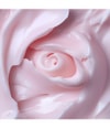 Produktbillede 3 af 4, MANTLE The High Five Rose Håndcreme