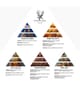 Produktbild 6 von 6, Pana Dora Sample Kit - 5 Fragrances Travel Set Duftset