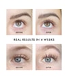 Produktbild 2 von 3, Hickap Lash & Brow Boosting Serum Wimpernserum