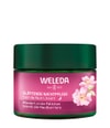 Produktbillede 1 af 3, Weleda Glättende Nachtpflege Natcreme