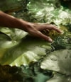 Zdjęcie produktu 3 z 6, ELLA K PLUIE SUR HALONG Perfumy