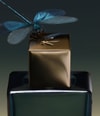Produktbild 6 von 6, ELLA K MYRRH K Parfum