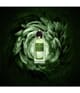 Produktbild 2 von 2, Maison Noir Icarus Eau de Parfum