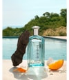 Produktbild 3 von 5, Tommy Hilfiger Tommy Eau de Toilette