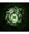 Produktbild 4 von 6, Maison Noir Icarus Eau de Parfum