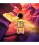 Maison Noir Somnia 517 Eau de Parfum 50 ml 7649995515507 pack-shot_se