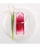 Shiseido Ultimune Serum 30 ml 729238172838 detailShot