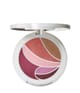 Produktbild 1 von 3, MAC Metamorphosis Spring Collection Lidschatten Palette