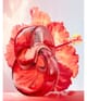Productafbeelding 4 van 6, BVLGARI Omnia Eau de Toilette