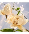 Immagine prodotto 6 di 6, BVLGARI Omnia Eau de Parfum